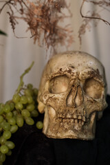 Fototapeta na wymiar skull with grape on the table