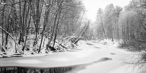 Winter forest wild river landscape