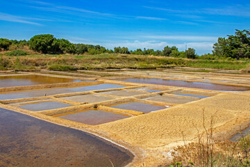 Fototapeta premium Ile d'Oléron. Grand-Village-Plage. Marais salants. Charente-Maritime. Nouvelle-Aquitaine 