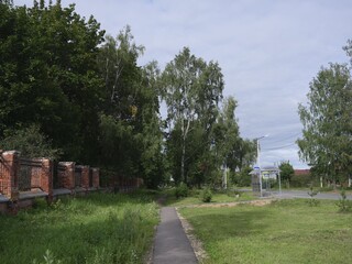 walkway in green park