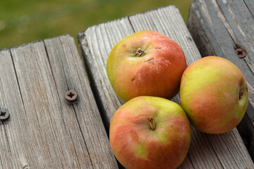 apples on a wooden table