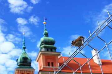 Polska w obiektywie. © Marta