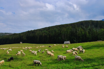 Polska w obiektywie. © Marta