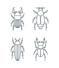 Set of outline beetle icons