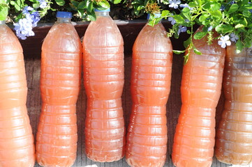 Bio fertilizer inside a plastic bottle