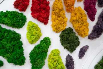 Vertical decoration with moss