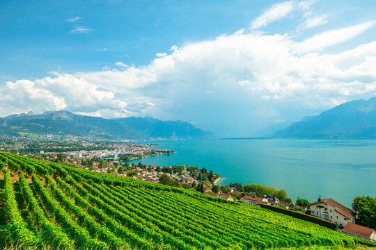 Aerial landscape between terraced vineyards of Lavaux from Lutry and Cully. Vevey city, Lake Geneva and Swiss Alps, Unesco heritage vineyards of Lavaux wine region. Vaud Canton, Switzerland.