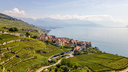 Aerial view from Lavaux, Switzerland