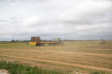 Obraz premium récolte