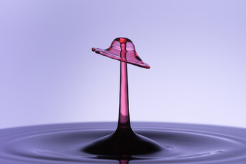 A drop of water creating a mushroom shape structure when another droplet collides with the approaching water pillar