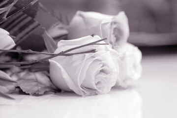 Delicate pink roses as background. Retro filter. Soft color. Bouquet of flowers for the design of postcards, invitations, congratulations on the holiday, birthday