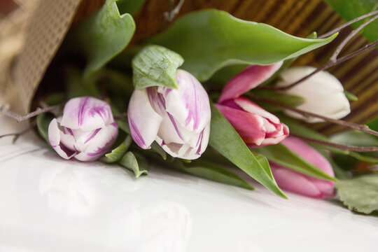 Delicate pink tulips as background. Retro filter. Soft color. A bouquet of flowers for design of postcards, invitations, congratulations on holiday, birthday