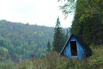 Old village in the forest