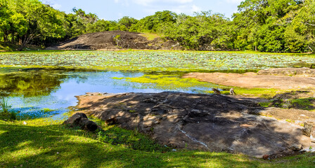 A lake next to the ancient ruins of Medirigiriya Vatadage in Sri Lanka