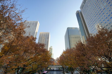 Obraz premium 新宿の高層ビル