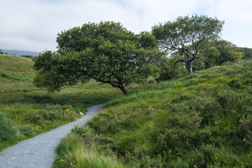 Fototapeta na wymiar Glenveagh National Park, Donegal, Ireland