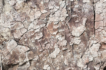 Background of mountain landslide in an environmentally hazardous area. Large cracks in the ground,...