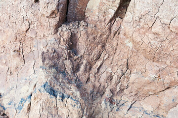 View bird's-eye view. Background of mountain landslide in an environmentally hazardous area. Large cracks in the ground, the descent of soil layers, coquina. Deadly risk of coastal collapse