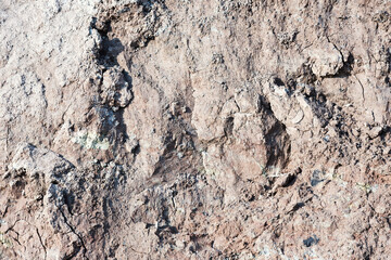 Background of mountain landslide in an environmentally hazardous area. Large cracks in the ground, the descent of soil layers, coquina. Deadly risk of coastal collapse