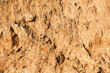 Background of mountain landslide in an environmentally hazardous area. Large cracks in the ground, the descent of soil layers, coquina. Deadly risk of coastal collapse
