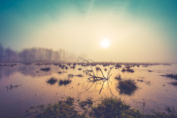 Moorlandschaft in Braunschweig Riddagshausen