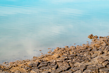 The soil is dry and cracked because of the reduced water content.