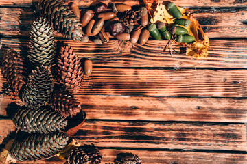 Autumn textured background and plenty of space for text and design. Pine cones, green and brown acorns, and yellow leaves lie on a wooden table.