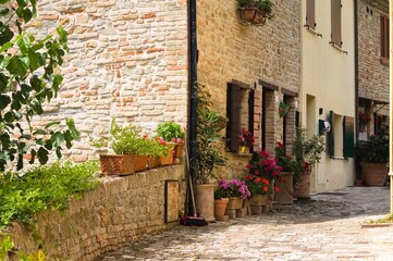 Fototapeta na wymiar Alley of an Italian village with old brick houses, plants and flowers (Fiorenzuola di Focara, Italy, Europe)