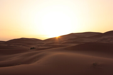 Fototapeta na wymiar 砂漠の日の出