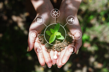 Clean energy and Natural energy resources. Woman hand holding sprout, with energy resource icons