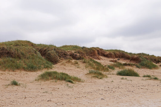 Sand dunes covered in dense vegetation or grass on the Crosby Beach in Mersey near Liverpool UK