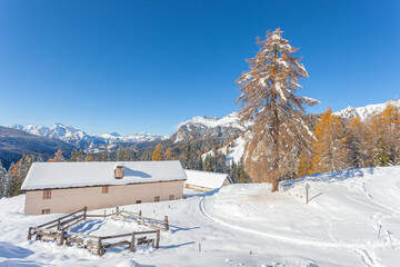 Alpine hut in front of an awesome winter scenery, Val Fiorentina, Dolomites, Italy. Concept: winter landscapes, Christmas atmosphere, Unesco world heritage