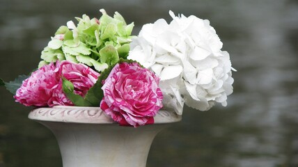 Red and white flowers