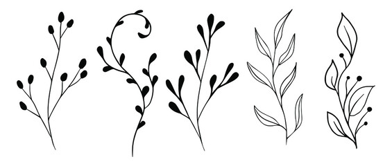 Vektorzweige und Blätter. Handgezeichnete florale Elemente. Botanische Illustrationen der Weinlese. Blumenzweig mit Beere. © IRYNA