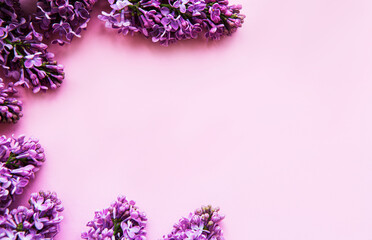 Lilac flowers on a pink background