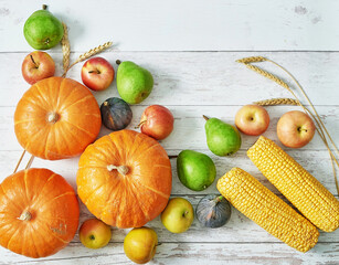 Autumn harvest pumpkin background. Autumn harvest vegetables and fruits. Pumpkins, apples, pears, corn on table. Thanksgiving table.Halloween or seasonal autumnal. Greeting card. Fall kitchen.