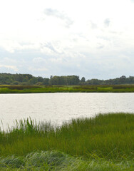 Beautiful autumn landscape with river and meadow in grey day before the rain. Northern Europe 