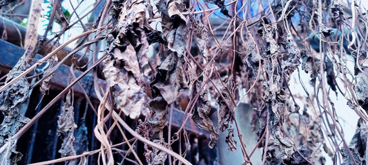 background of death  glass