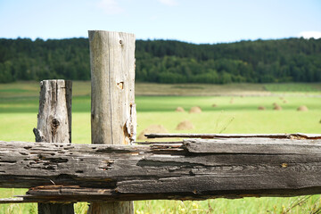 A ramshackle fence that encloses a spacious pasture with haystacks of mown hay.