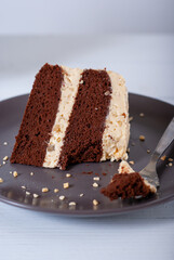Plate with slice of tasty homemade chocolate cake on a white table