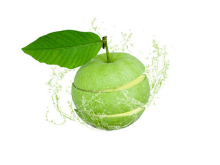 Water splashing on fresh Green guava fruit isolated on white background