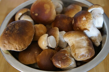 Eine Schüssel voll mit Steinpilzen