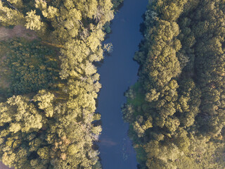 Top view of the river with turns of meanders and green forests in bright sunlight. Creek in the park among the trees. Aerial drone view. Summer or autumn time.
Stream surrounded by green forest.