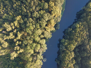 Top view of the river with turns of meanders and green forests in bright sunlight. Creek in the park among the trees. Aerial drone view. Summer or autumn time.
Stream surrounded by green forest.