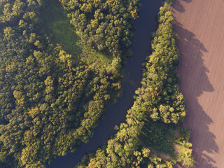 Top view of the river with turns of meanders and green forests in bright sunlight. Creek in the park among the trees. Aerial drone view. Summer or autumn time.
Stream surrounded by green forest.