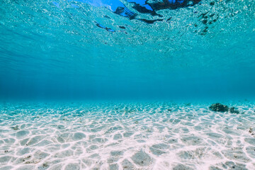 Tropical blue ocean with sand underwater