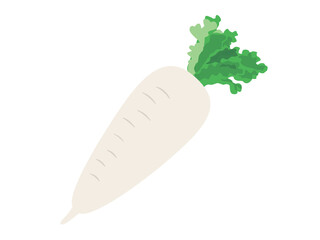 大根のイラスト