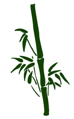 Fototapeta na wymiar Vector icon of a bamboo plant