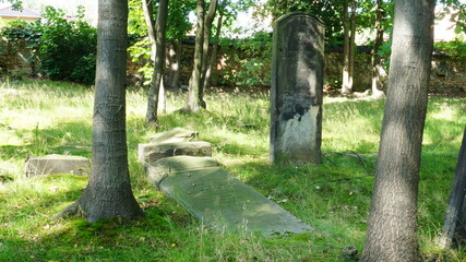 Cmentarz żydowski w Żorach w Polsce