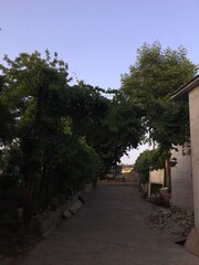 Fototapeta premium street in the village